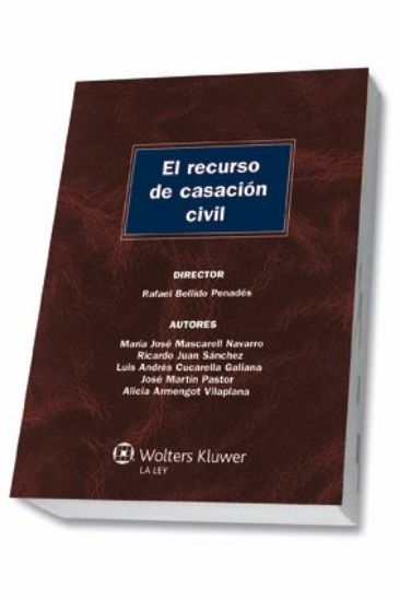 Imagen de El recurso de casación civil
