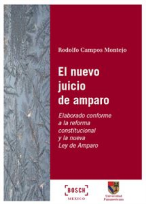 Imagen de El nuevo juicio de amparo