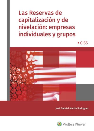 Imagen de Las Reservas de capitalización y de nivelación: empresas individuales y grupos