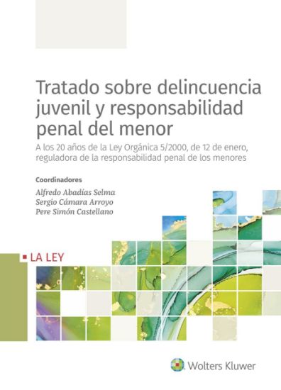 Imagen de Tratado sobre delincuencia juvenil y responsabilidad penal del menor