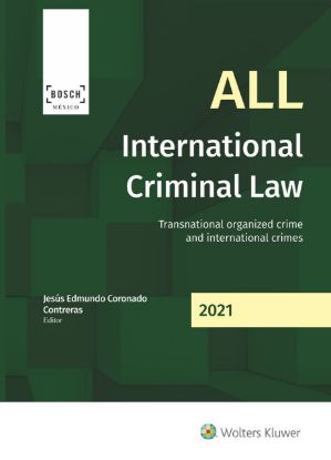 Imagen de All International criminal law