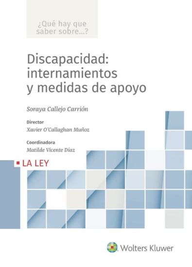 Imagen de Discapacidad: internamientos y medidas de apoyo (Colección ¿Qué hay que saber sobre...?)