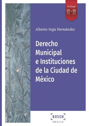Imagen de Derecho Municipal e Instituciones de la Ciudad de México