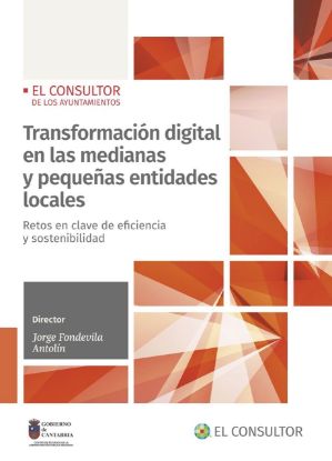 Imagen de Transformación digital en las medianas y pequeñas entidades locales