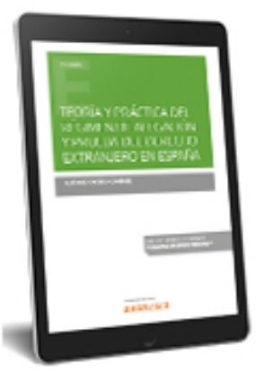 Imagen de Teoría y práctica del régimen de alegación y prueba del derecho extranjero en España