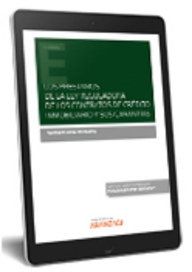 Imagen de Los préstamos de la Ley Reguladora de los Contratos de CréditoInmobiliario y sus garantías