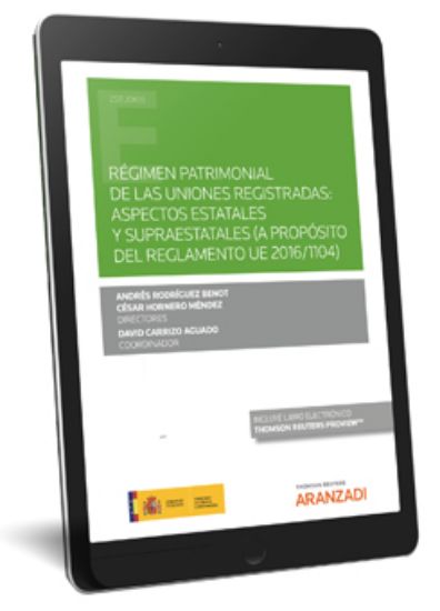Imagen de Regimen patrimonial de las uniones registradas: aspectos estatales y supraestatales (a proposito del
