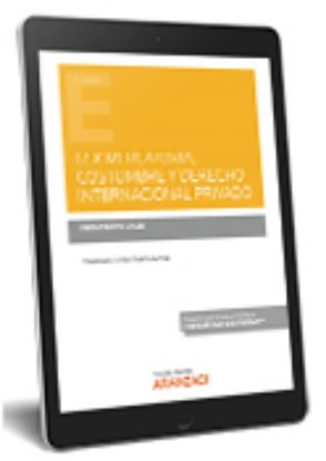 Imagen de Lex mercatoria, costumbre y derecho internacional privado