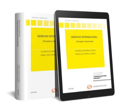 Imagen de Derecho Internacional(Dúo)