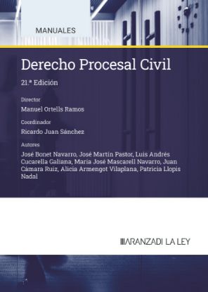 Imagen de Derecho Procesal Civil (21.ª Edición)