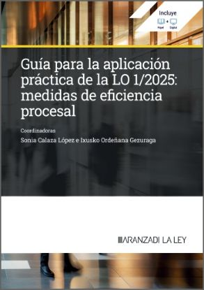 Imagen de Guía para la aplicación práctica de la LO 1/2025: Medidas de eficiencia procesal