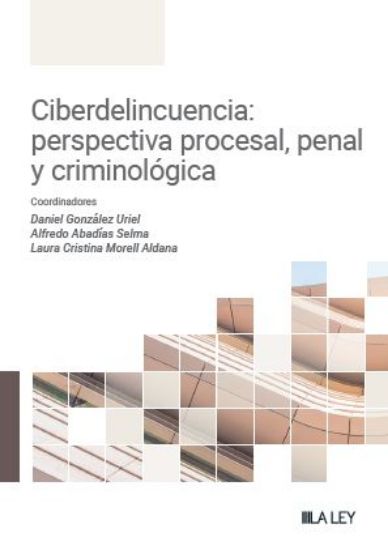 Imagen de Ciberdelincuencia: perspectiva penal, procesal y criminológica