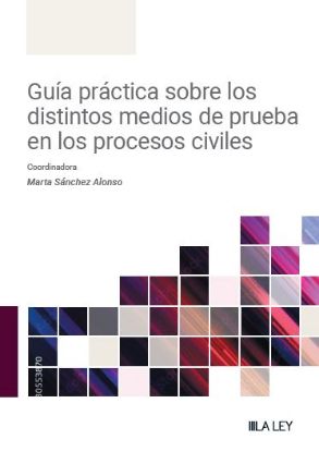 Imagen de Guía práctica sobre los distintos medios de prueba en los procesos civiles