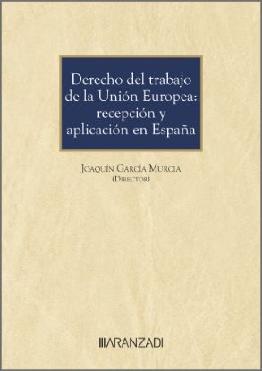 Imagen de Derecho del trabajo de la Unión Europea: recepción y aplicación en España
