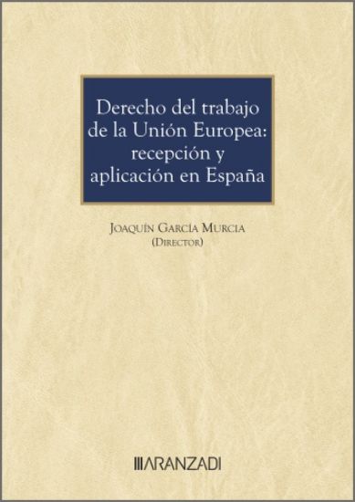 Imagen de Derecho del trabajo de la Unión Europea: recepción y aplicación en España