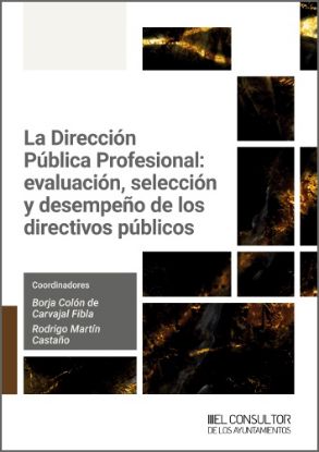 Imagen de La Dirección Pública Profesional: evaluación, selección y desempeño de los directivos públicos
