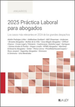 Imagen de 2025 Práctica Laboral para abogados