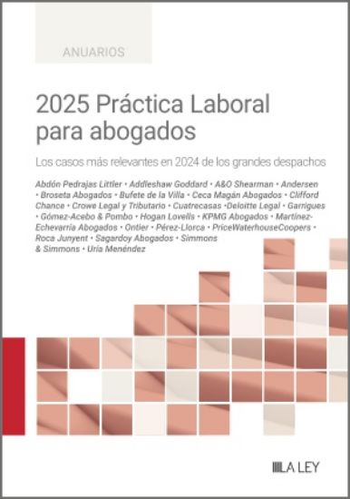 Imagen de 2025 Práctica Laboral para abogados