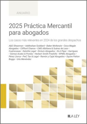 Imagen de 2025 Práctica Mercantil para abogados